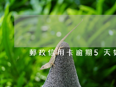 郵政信用卡逾期5天：如何處理？